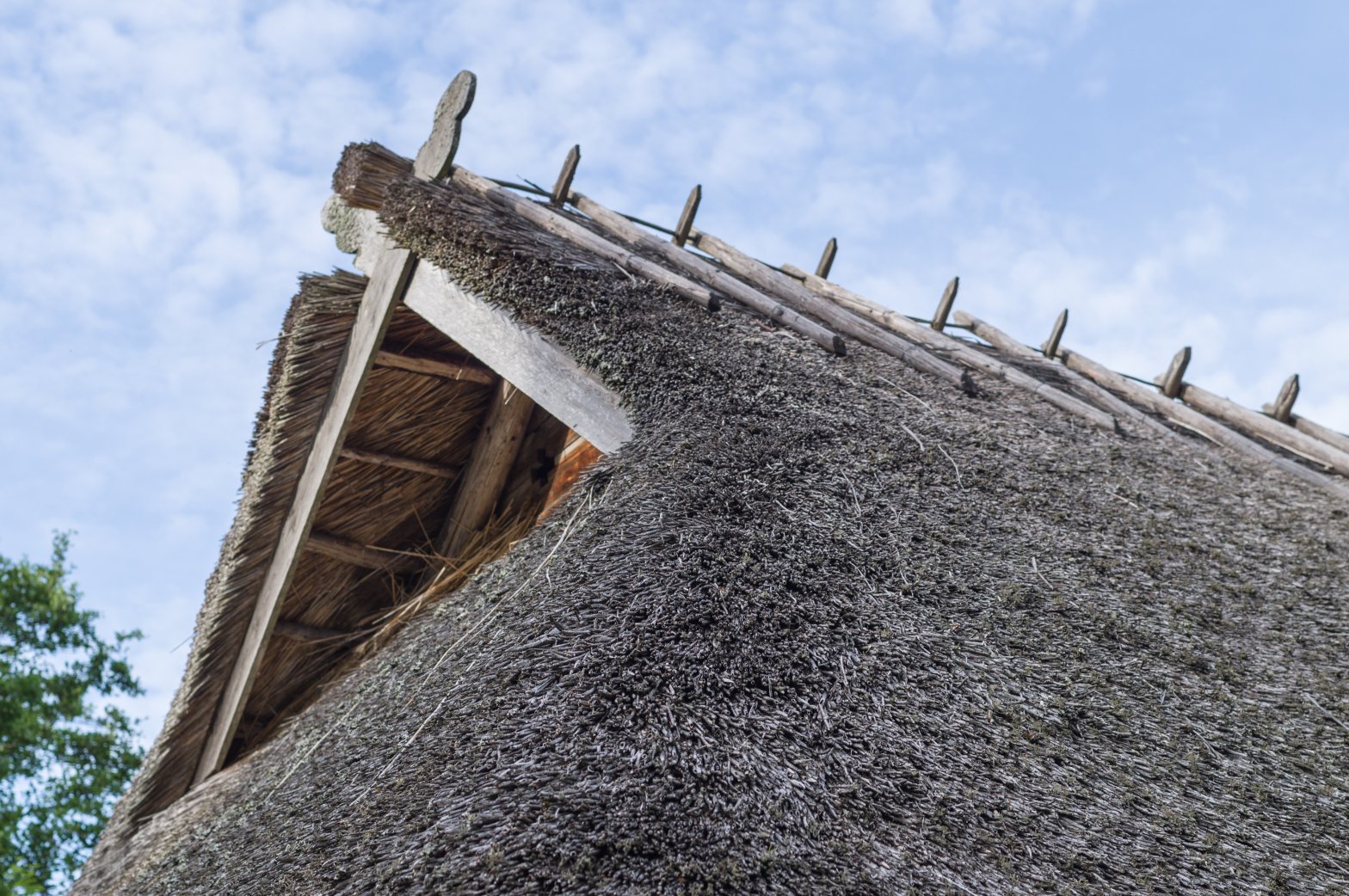 Rookatuse paigaldus Püssis