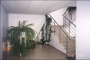 Jõgeva Ehitus OÜ Siseviimistlustööd