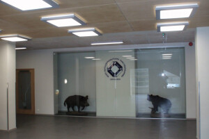 Jõgeva Ehitus OÜ Siseviimistlustööd