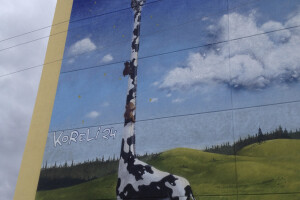 Europlaster OÜ Viimistlustööd, fassaaditööd, viimistlustöö, dekoratiivsed fassaadid