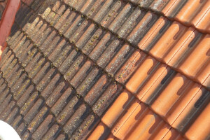 VIP COMPANY OÜ Katusetööd