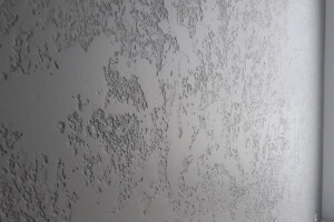 VIP COMPANY OÜ Renoveerimine