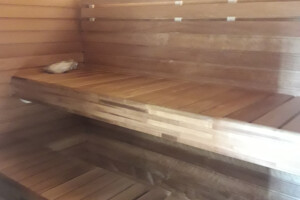 VIP COMPANY OÜ Saunaehitus