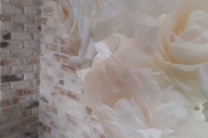 VIP COMPANY OÜ Siseviimistlustööd