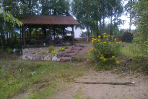 VIP COMPANY OÜ Üldehitus