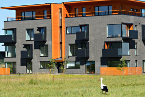 EVERSTER OÜ Fassaaditööd, korteriühistute fassaaditööd, korteriühistute tervik renoveerimine, korteriühistutele renoveerimistööd