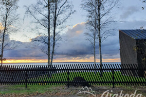 Aiakoda OÜ Aia ehitus, piirded, aiad, aed