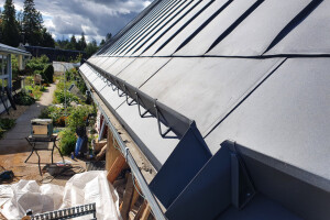 ARANEUS OÜ Vihmaveesüsteemid, vihmaveesüsteem, veerenn, vihmavesi