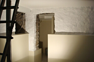 Evado OÜ Siseviimistlustööd