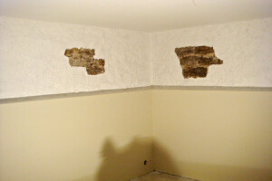 Evado OÜ Siseviimistlustööd