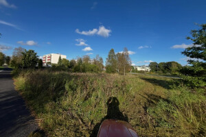 Trigalo OÜ Haljastustööd
