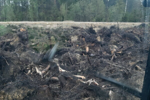 S&M TEENUSED OÜ Kaevetööd, kaevetööd; trassitööd; kaevamine; kopatööd