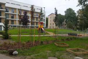 V&K TEED OÜ Haljastustööd, Haljastus, haljastamine, haljastustöö