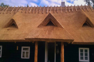 ROONIIT OÜ Roogkatused