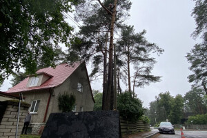 TIDRIKU PUIT OÜ Haljastustööd