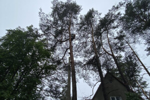 TIDRIKU PUIT OÜ Haljastustööd