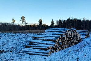 TIDRIKU PUIT OÜ Haljastustööd