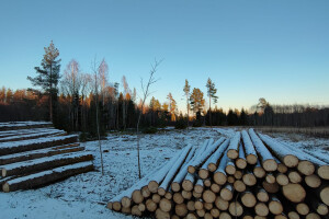 TIDRIKU PUIT OÜ Haljastustööd