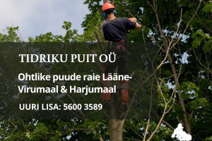 TIDRIKU PUIT OÜ Haljastustööd