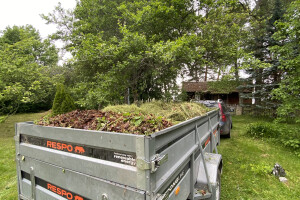 TIDRIKU PUIT OÜ Haljastustööd