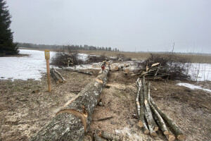 TIDRIKU PUIT OÜ Haljastustööd