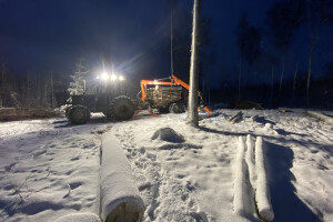 TIDRIKU PUIT OÜ Haljastustööd