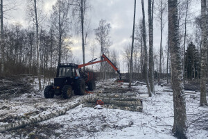 TIDRIKU PUIT OÜ Haljastustööd