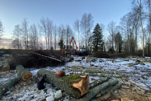 TIDRIKU PUIT OÜ Haljastustööd