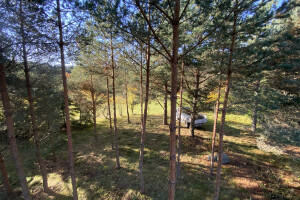 TIDRIKU PUIT OÜ Haljastustööd