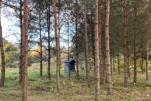 TIDRIKU PUIT OÜ Haljastustööd