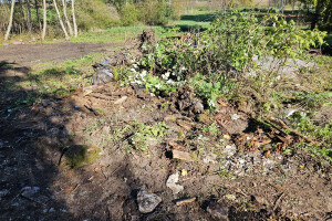 TIDRIKU PUIT OÜ Haljastustööd