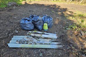 TIDRIKU PUIT OÜ Haljastustööd