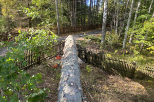 TIDRIKU PUIT OÜ Haljastustööd