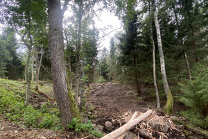 TIDRIKU PUIT OÜ Haljastustööd