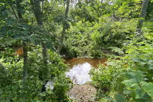 TIDRIKU PUIT OÜ Haljastustööd