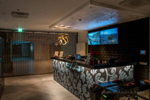 EST DECORE OÜ Siseviimistlustööd, v-spa siseviimistlus, siseviimistlus, pahteldamine