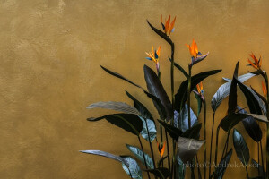 EST DECORE OÜ Siseviimistlustööd, v-spa siseviimistlus, värvid, värvide hulgimüük