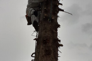 ROPETECH OÜ Puhastusteenused, okste lõikamine, paigaldustööd kõrgustes, parandustööd