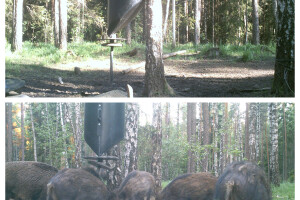 A&K GRUPP OÜ Keevitustööd, söödaautomaat; keevitustööd; metallitööd; söötja