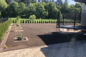 My Property OÜ Haljastustööd, eramu haljastus, muru istutamine, muru rajamine