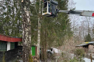 My Property OÜ Haljastustööd, puude lõikus, puude hooldus, heakorratööd