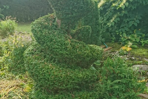 TIIGRE TEENUSED OÜ Haljastustööd, haljastustööd; hekkide pügamine; heki kujundamine; hekkide kujundamine