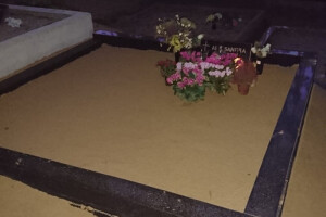 TIIGRE TEENUSED OÜ Haljastustööd, kalmistu hooldus; kalmistu korrashoid; hauaplatside hooldus; hauaplatside korrashoid; hauapiirded; hauapiirete paigaldamine