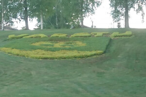 TIIGRE TEENUSED OÜ Haljastustööd, muru niitmine; niitmistööd; niitmine; haljastustööd