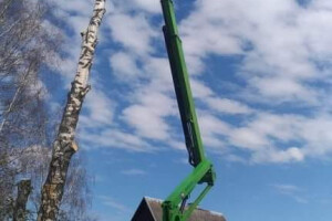 TIIGRE TEENUSED OÜ Haljastustööd, ohtlike puude langetamine; ohtlike puude lõikus; ohtlike puude raie; ohtlikud puud