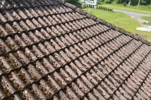 DV PUHASTUS OÜ Puhastusteenused