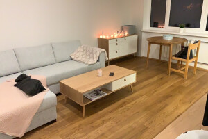 ES HALDUS OÜ Korterite remont, korteri remont, remont, remonditööd