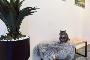 VINDUSTREST OÜ Metallitööd