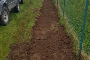 Pargipuu OÜ Haljastustööd, istutamine, hooldus, hoolduslõikus