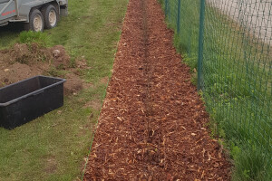 Pargipuu OÜ Haljastustööd, istutamine, hooldus, hoolduslõikus